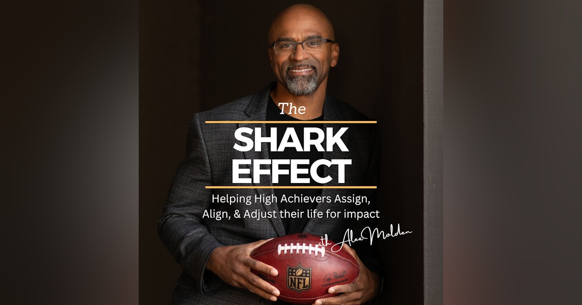 The Shark Effect | A new beginning