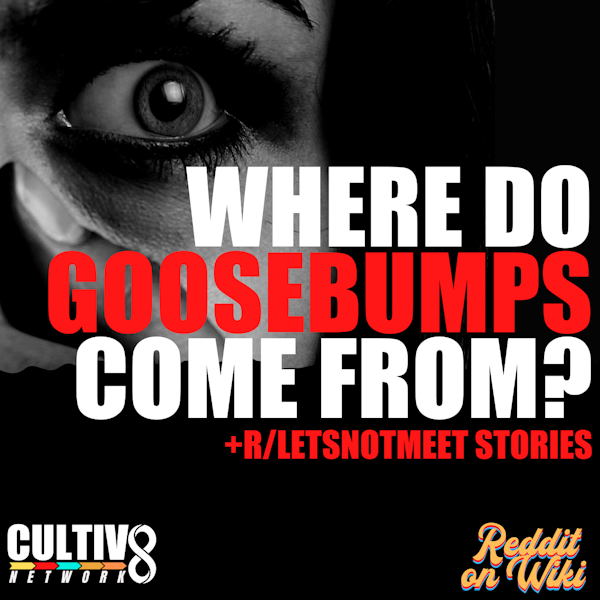 Where Do Goosebumps Come From? + Stories From r/letsnotmeet Image