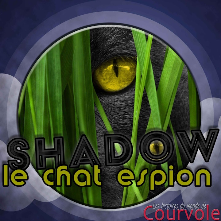 Shadow, le chat espion