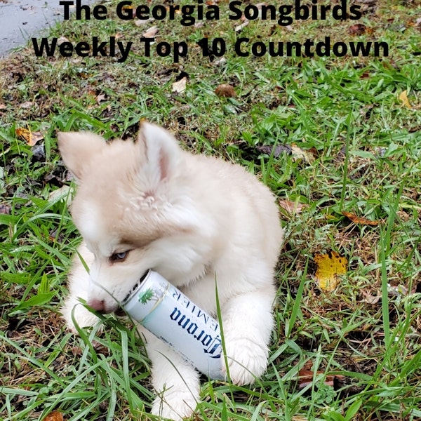 The Georgia Songbirds Weekly Top 10 Countdown week 66 Image
