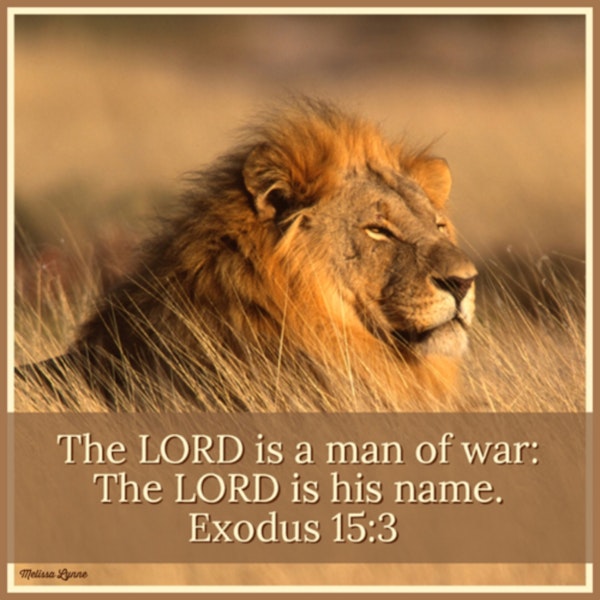 February 1, 2022 -The LORD is a Man of War, The LORD is His Name Image