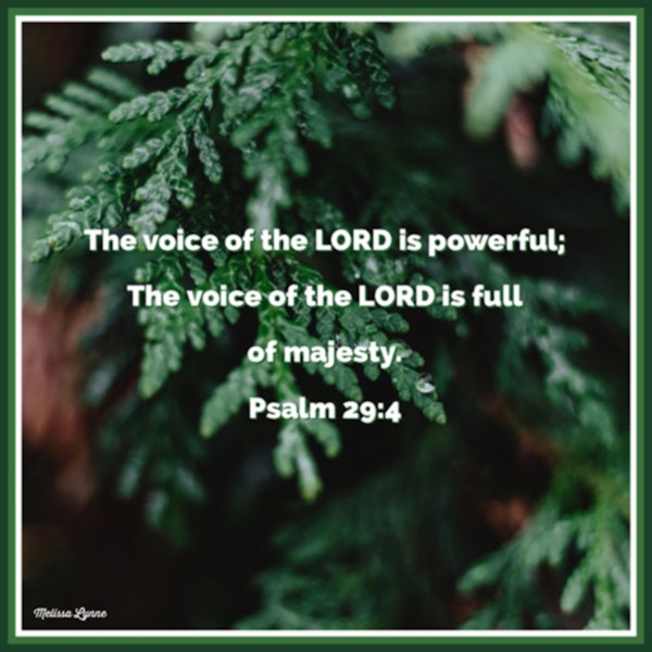 February 5, 2022 - The Voice of the LORD is Full of Majesty Image