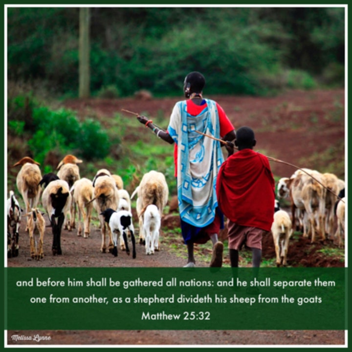 February 8, 2022 - As the Shepherd Divideth His Sheep from His Goats