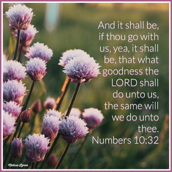 March 8, 2022 - What the Goodness of the LORD Shall Do Unto Us, the Same Will We Do Unto Thee Image