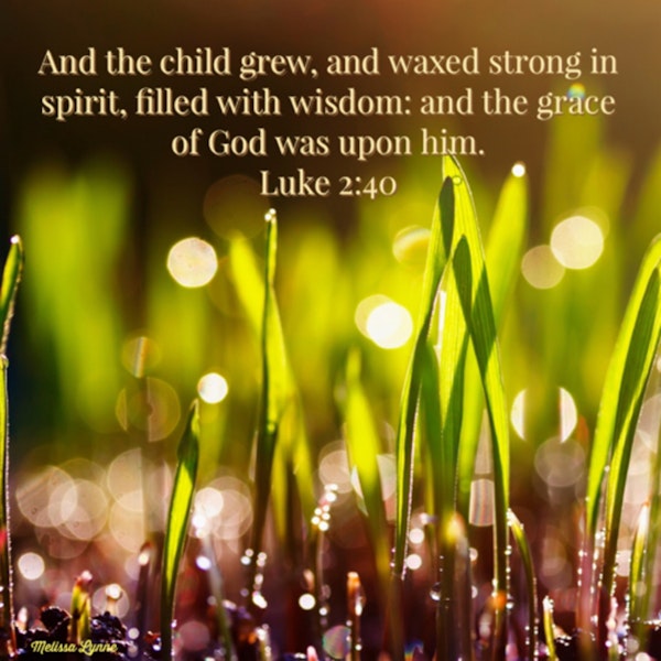 March 17, 2022 - The Child Grew and Waxed Strong in Spirit Image