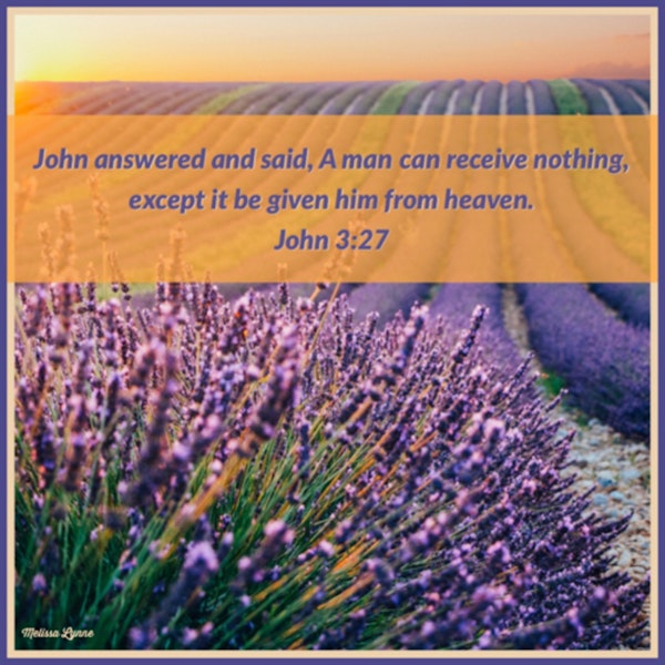 May 4, 2022 - A Man Can Receive Nothing Except It Be Given Him from Heaven Image