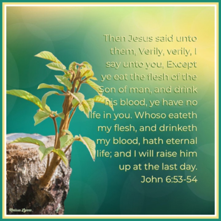 May 11, 2022 - Except Ye Eat the Flesh of the Son of Man and Drink His Blood, Ye Have No Life in You