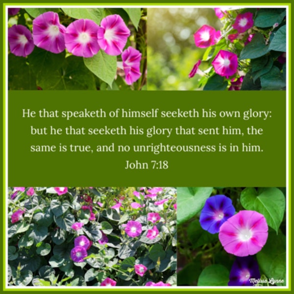 May 12, 2022 - He that Speaketh of Himself Seeketh His Own Glory Image