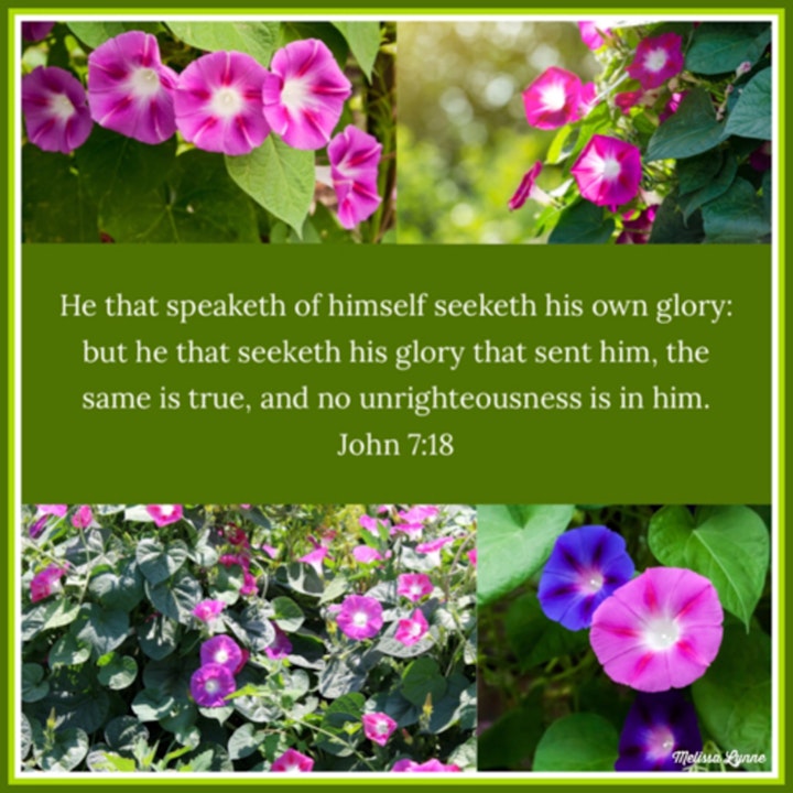 May 12, 2022 - He that Speaketh of Himself Seeketh His Own Glory