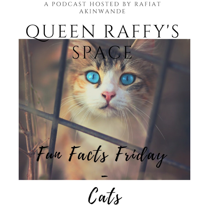 Fun Facts Friday - Cats