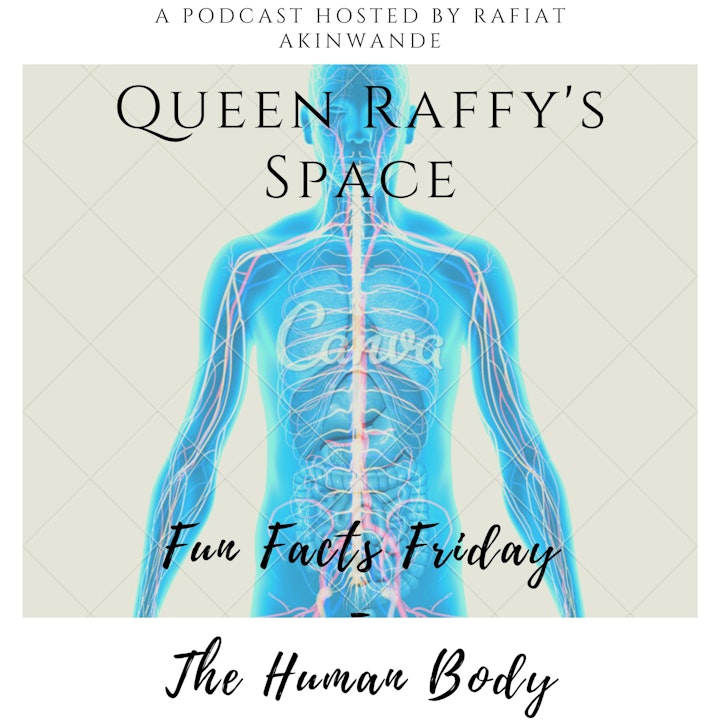 Fun Facts Friday - The Human Body