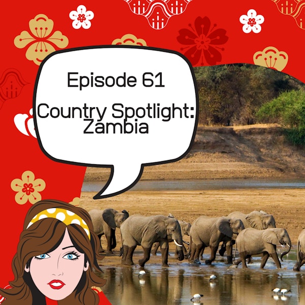 Country Spotlight: Zambia