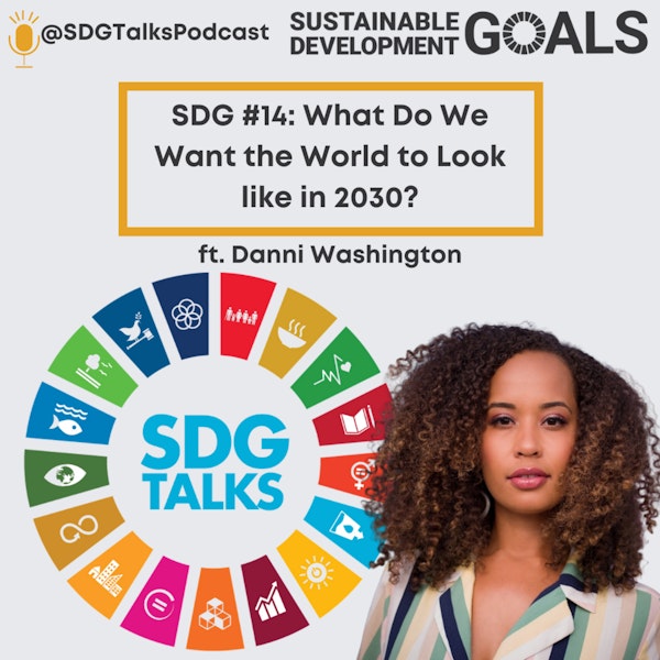 SDG #14: What Do We Want the World to Look Like in 2030? with Danni Washington Image