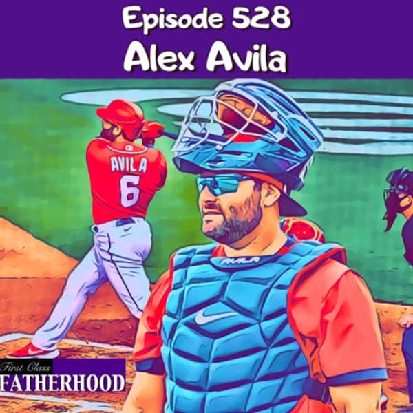 #528 Alex Avila