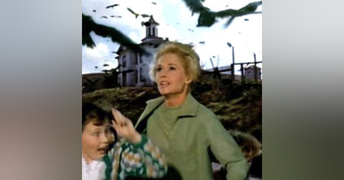 The Birds. Alfred Hitchcock 1963