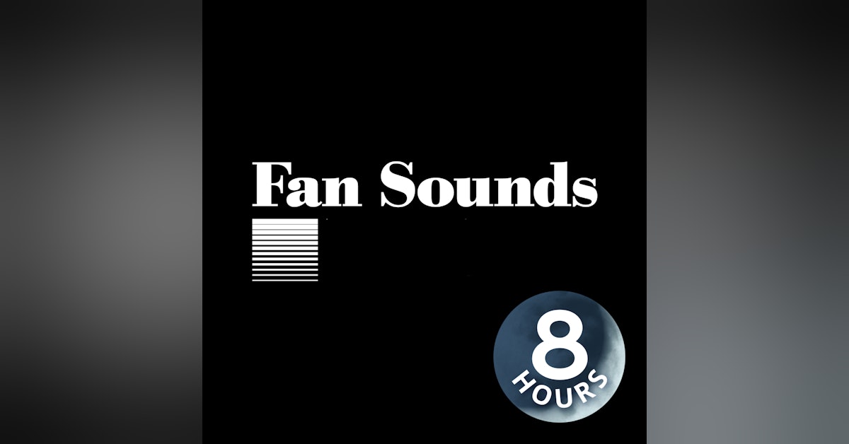 Fan Sounds for Sleeping I Box Fan White Noise 8 Hours