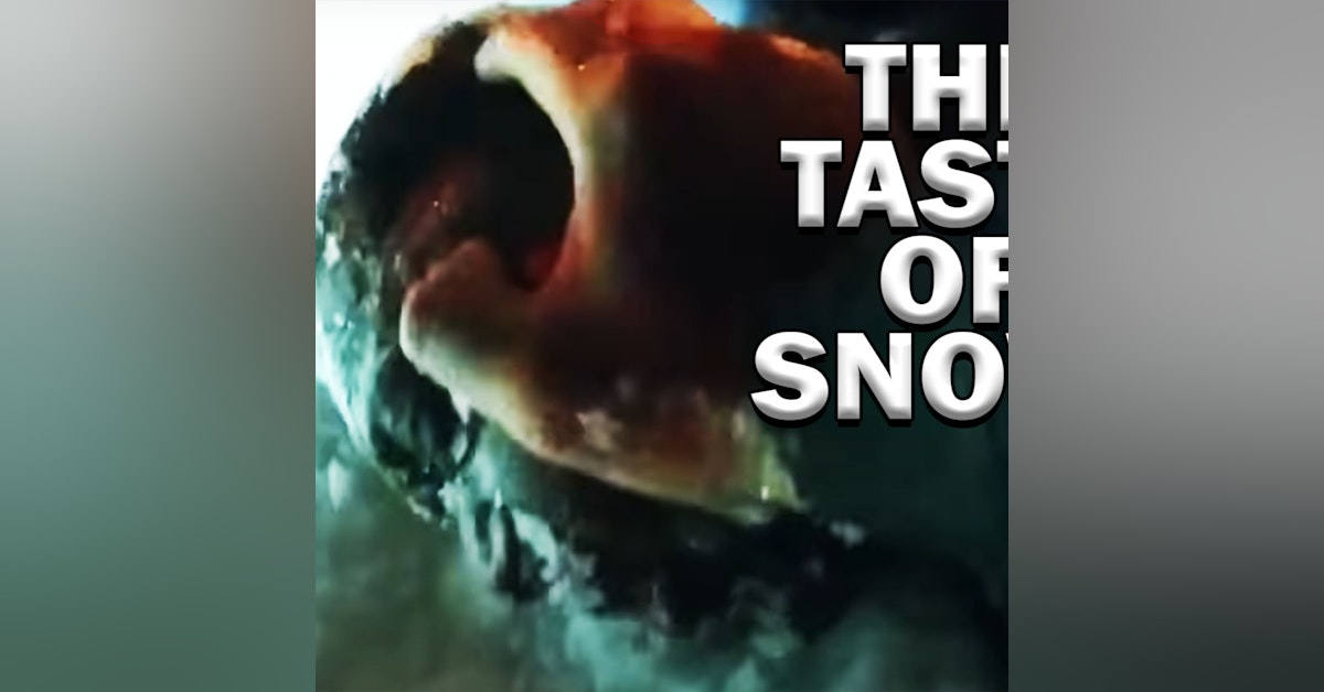 The Taste Of Snow In Akron! LEO Round Table S08E02e
