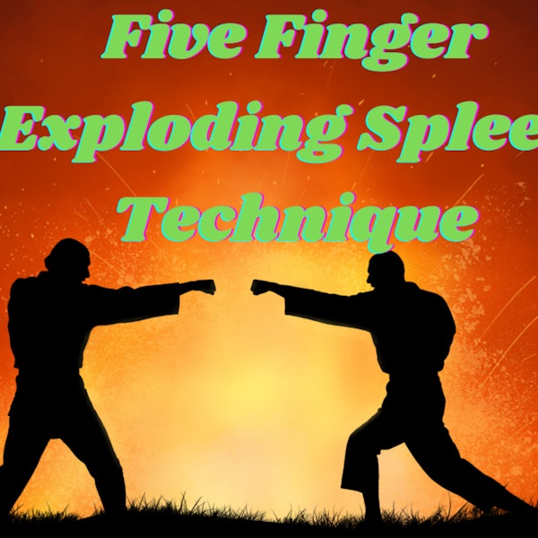 S4: Client 11 - Five Finger Exploding Spleen Technique Image