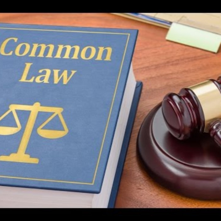 #129 Avoid Protests and Start Using Common Law - Peter Stone