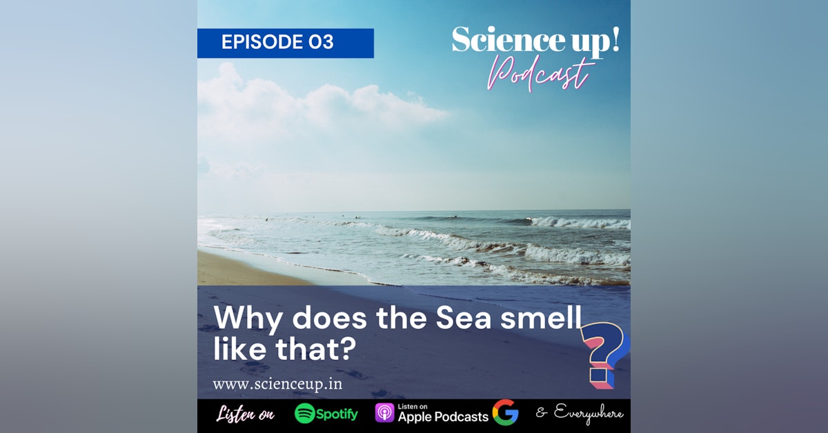 Why the Sea smell like that?