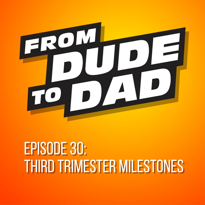 Third Trimester Milestones (A Summary For New Dads)