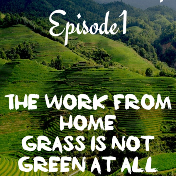 *Social Distancing- Episode 1; The Work From Home Grass is Not Green At All Image