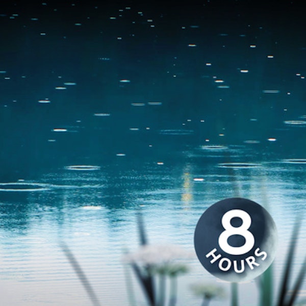 Rain on Pond White Noise 8 Hours | Sleep, Study, or Focus with Relaxing Rainstorm Sound Image