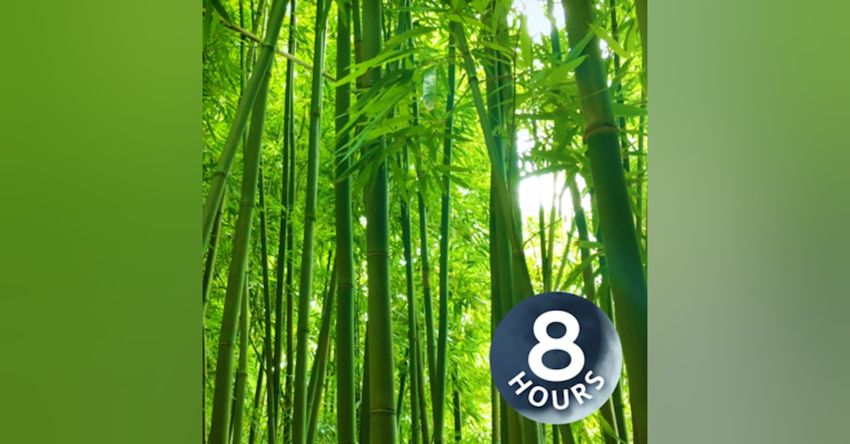 Bamboo Forest Wind Sounds 8 Hours | White Noise for Studying, Sleeping, Relaxation