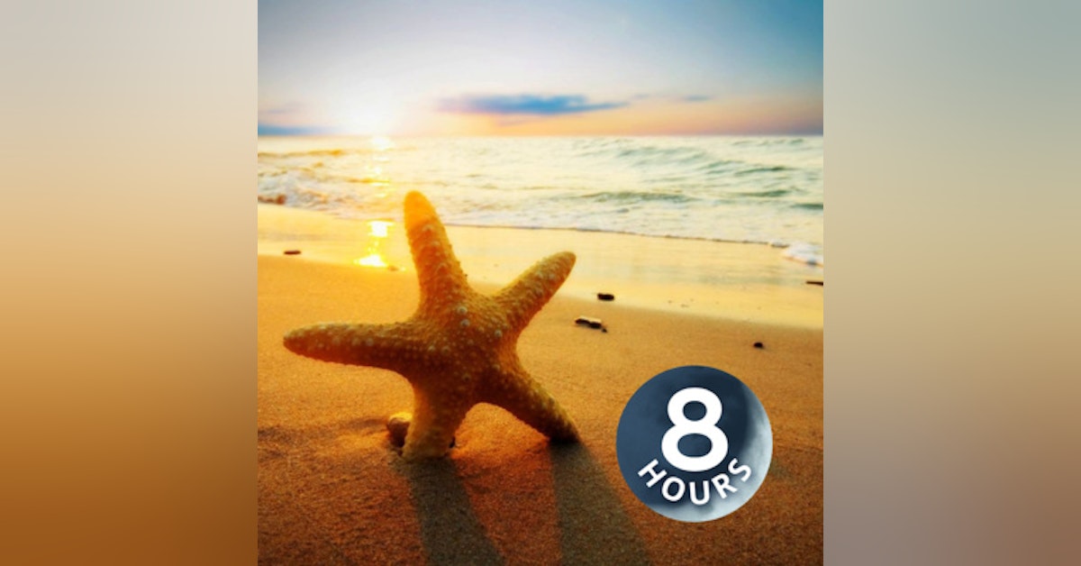 Beach Day 8 Hours | Ocean Sounds Help You Relax, Meditate or Fall Asleep