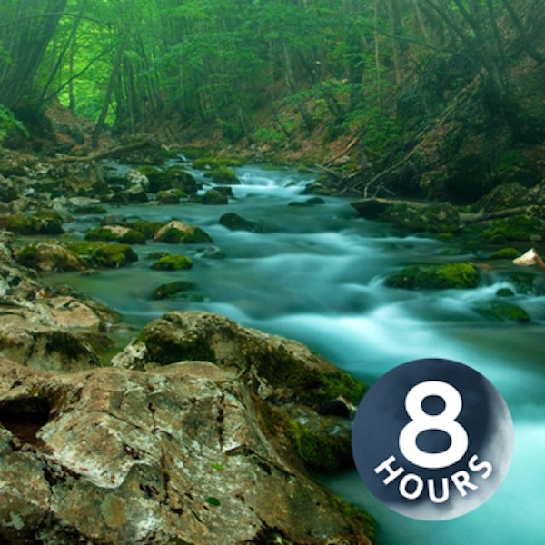 Forest Creek Water Sounds for Stress Relief, Relaxation or Sleep 8 Hours Image
