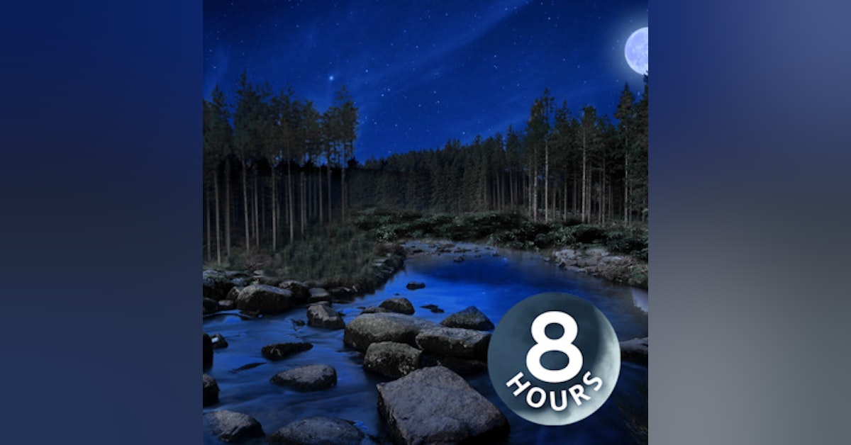 Bubbling Stream At Night 8 Hours | Crickets & Nature | For Sleeping or Studying