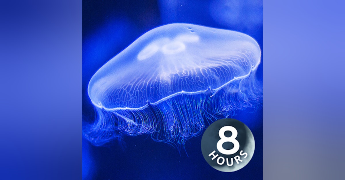Water Sounds Jellyfish Aquarium 8 Hours (Best with Headphones) I Underwater White Noise for Relaxation
