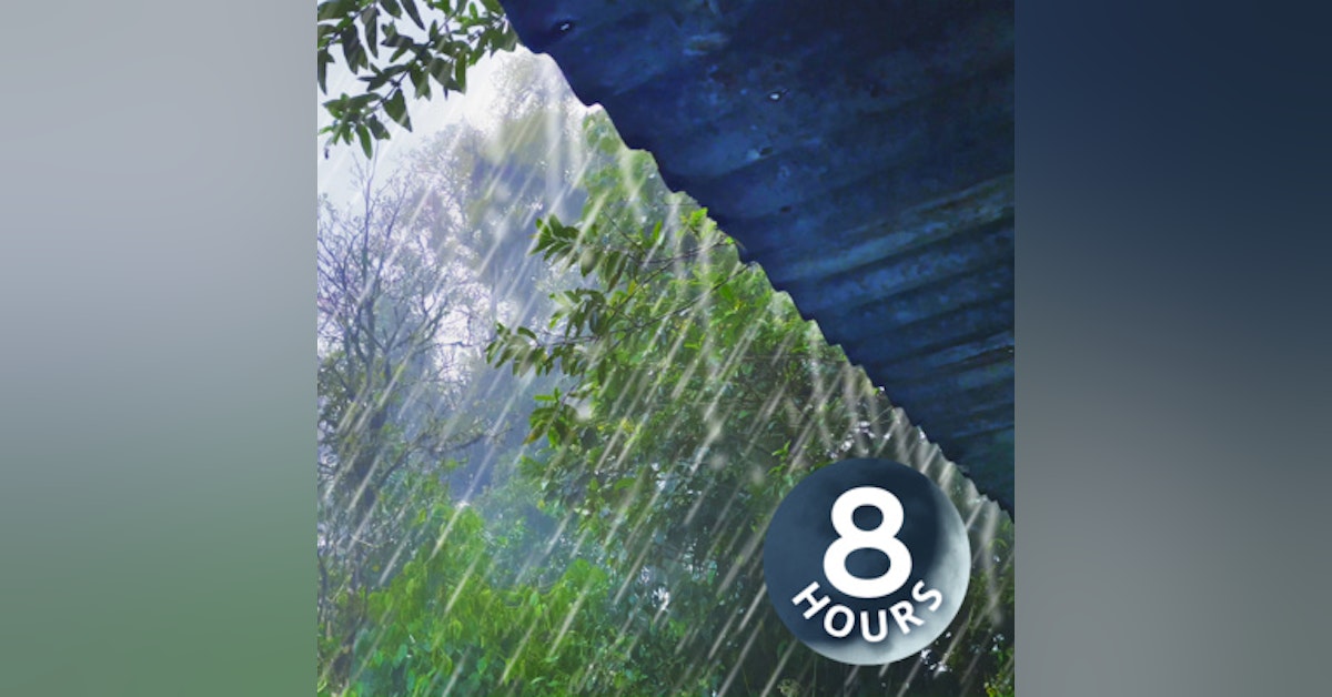 Rain on Tin Roof 8 Hours | Sleep, Study or Relax to Rain White Noise