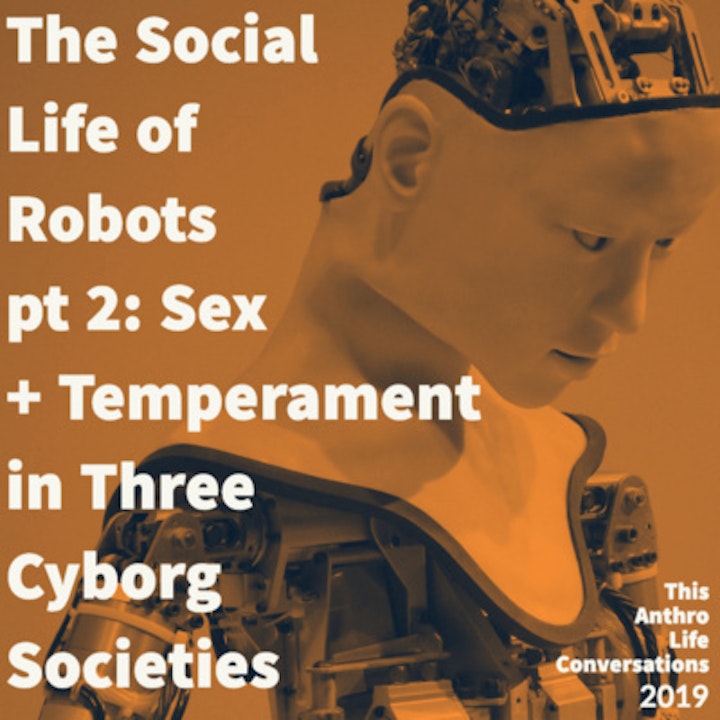The Social Life of Robots, pt 2: Sex and Temperament in Three Cyborg Societies