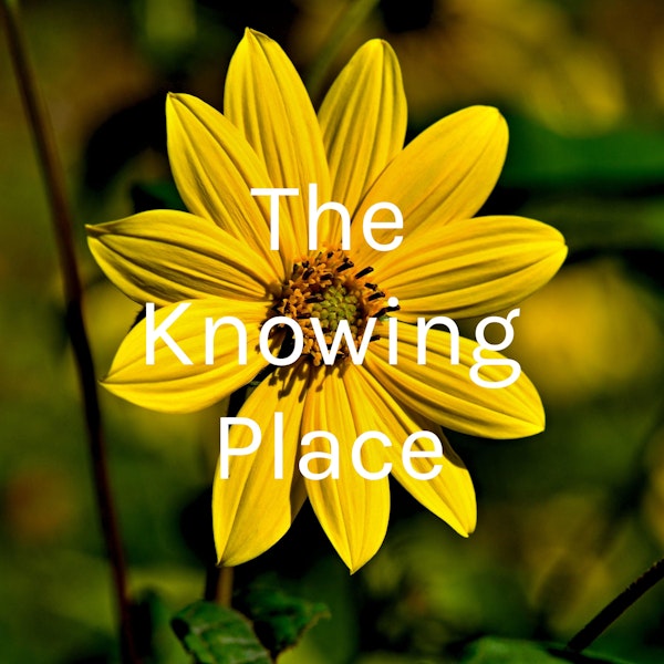 Episode 1: More Than A Flower Image