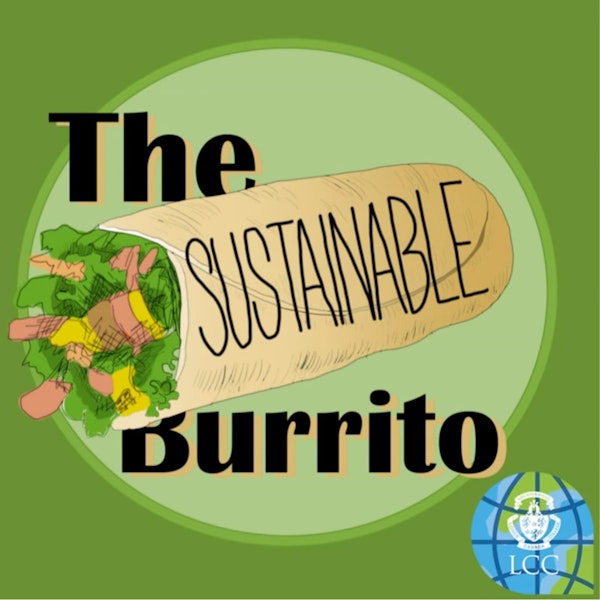 Introducing The Sustainable Burrito