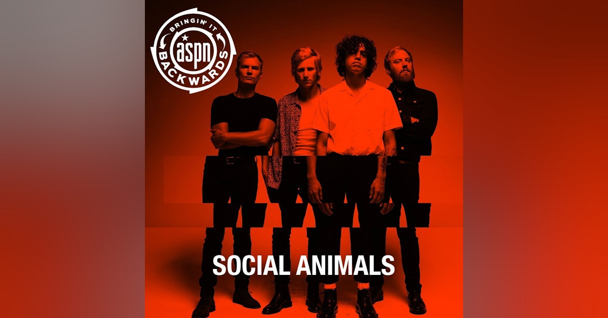 Interview with Social Animals