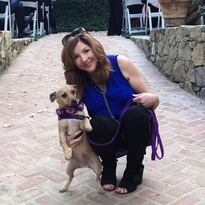 Interview with Laura Vorreyer author of "The Pet Sitter's Tale"