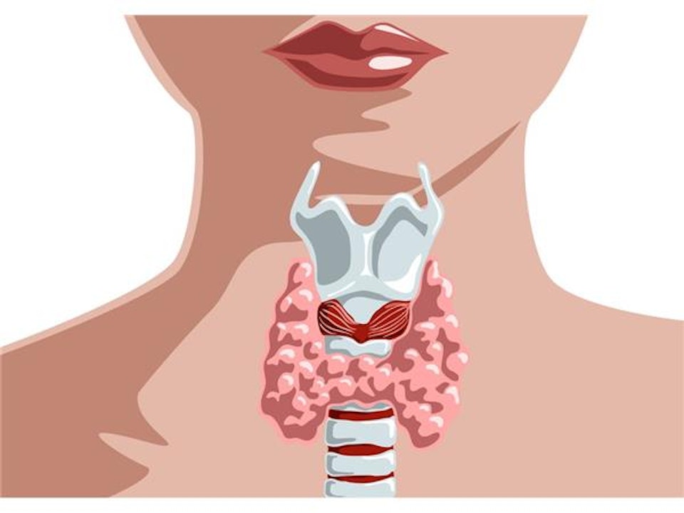 HH •  Do YOU Have Hidden Thyroid Issues