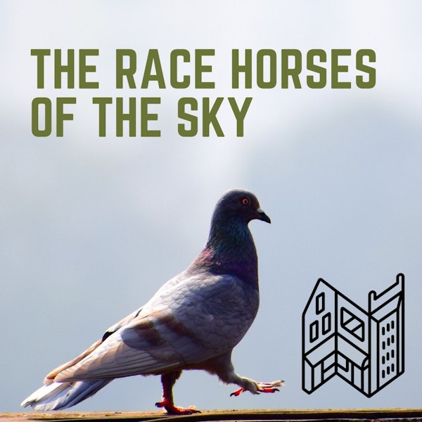 The Race Horses Of The Sky Image