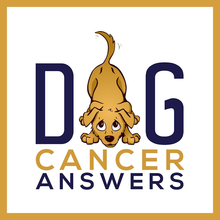 Episode image for Foods That Help Fight and Prevent Cancer in Dogs │ Dr. Judy Morgan Deep Dive