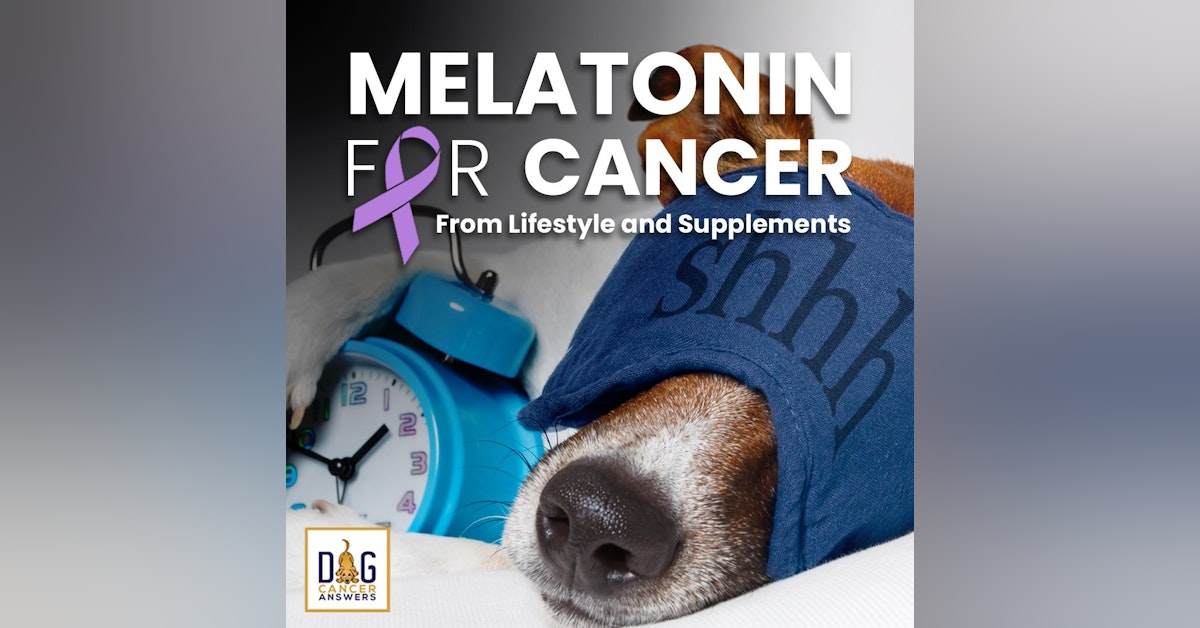 Melatonin for Cancer from Lifestyle and Supplements | Dr. Demian Dressler Deep Dive