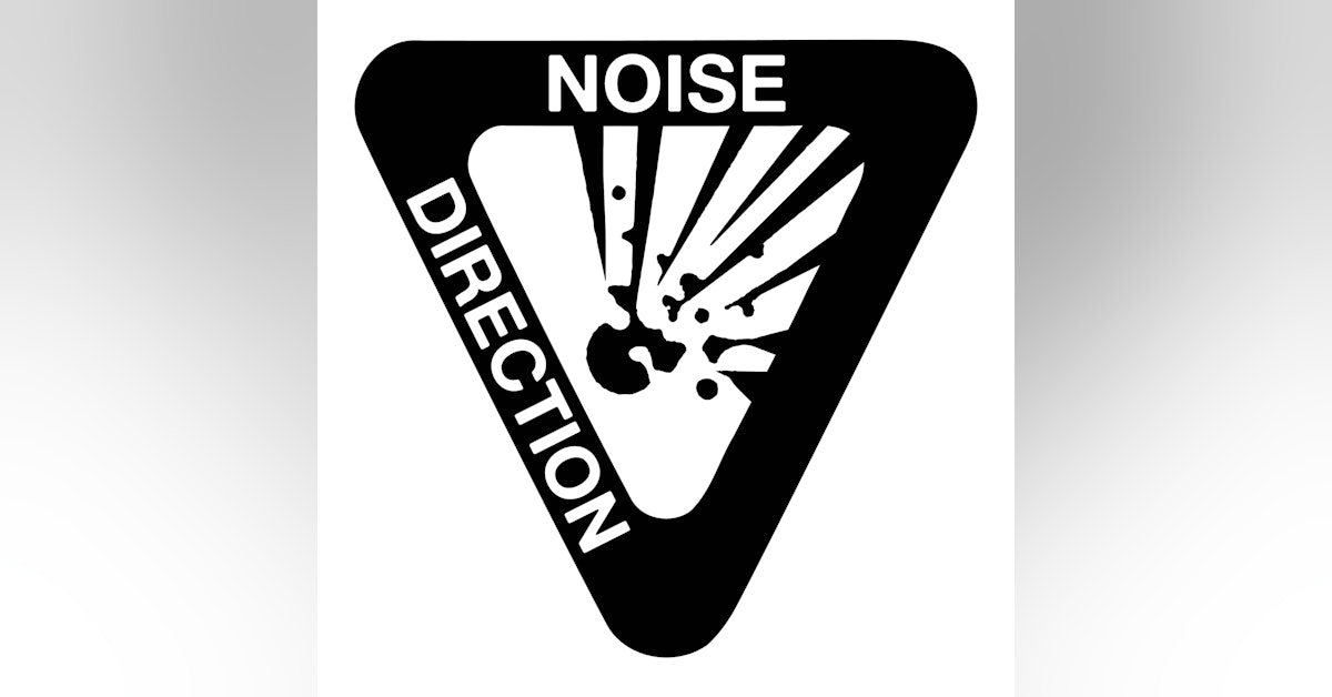 Noise Direction #9: What Merch Should I Sell?