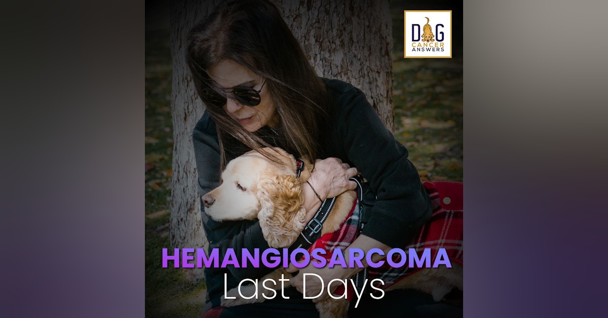 Hemangiosarcoma Dog Symptoms: What Happens in the Last Days | Dr. Trina Hazzah Q&A