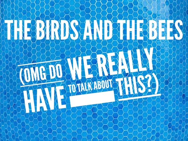 The Birds and The Bees: Having 'The Talk' Image
