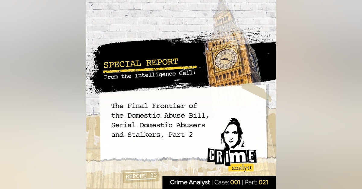 21: Special Report from the Intelligence Cell | The Final Frontier of the Domestic Abuse Bill, Serial Domestic Abusers and Stalkers, Part 2