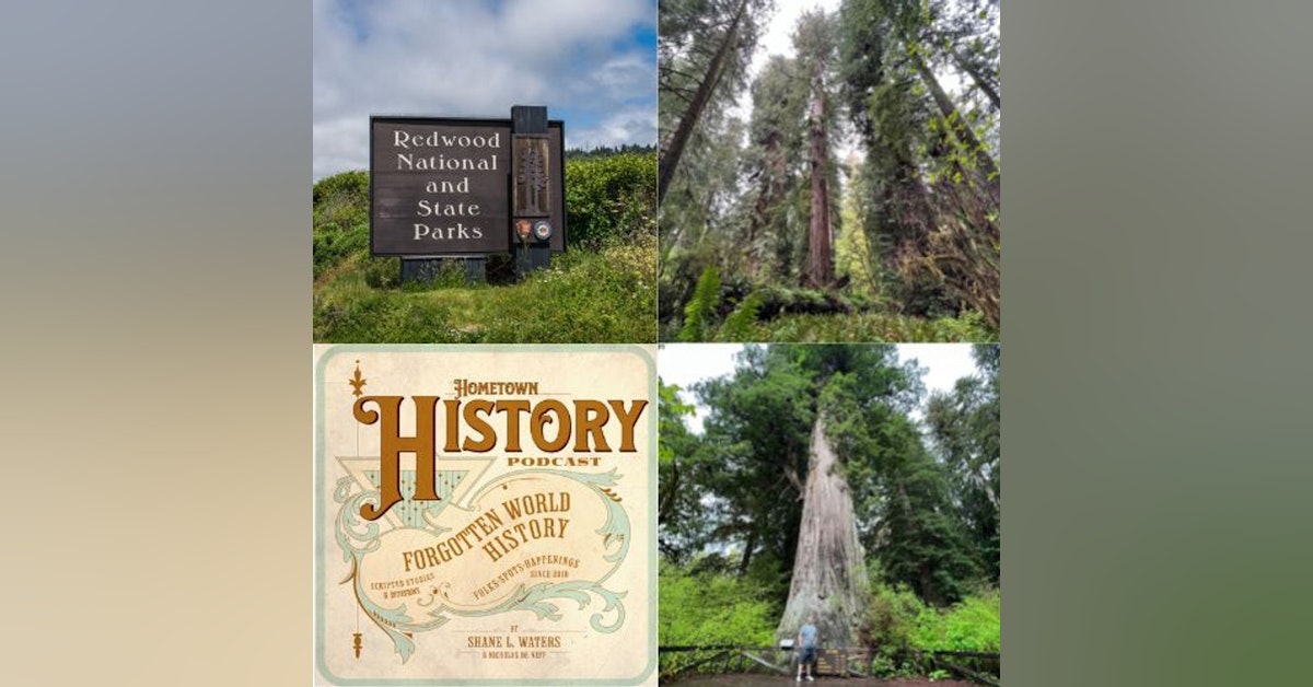 79: Redwoods National Park