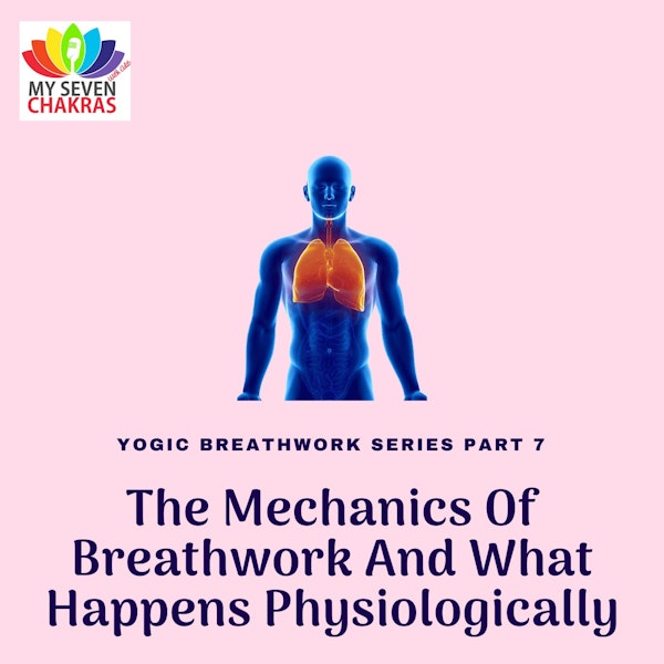 The Mechanics Of Breathwork And What Happens Physiologically With AJ