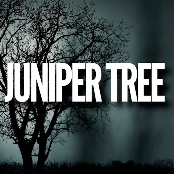 JUNIPER TREE - The SCARIEST Brothers Grimm Story | Haunted Forest
