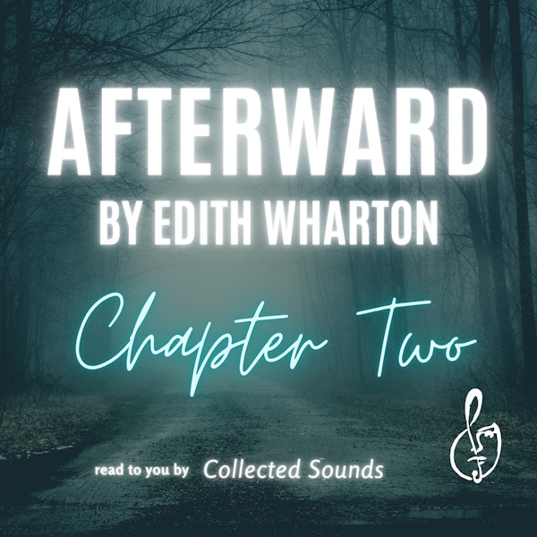Afterward: Chapter 2 Image